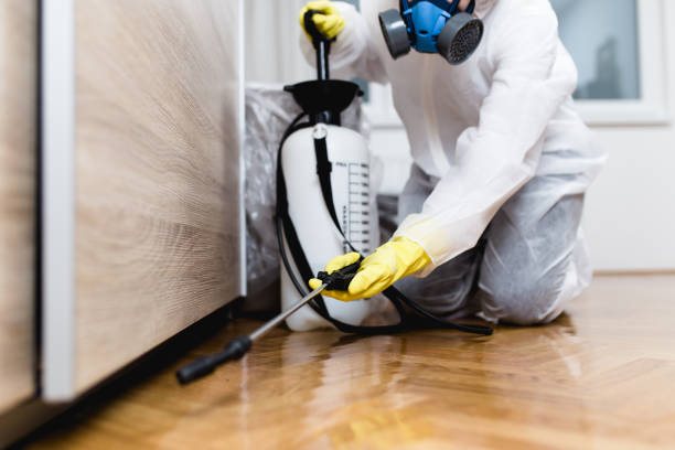 Best Pest Inspection Near Me  in Warsaw, MO