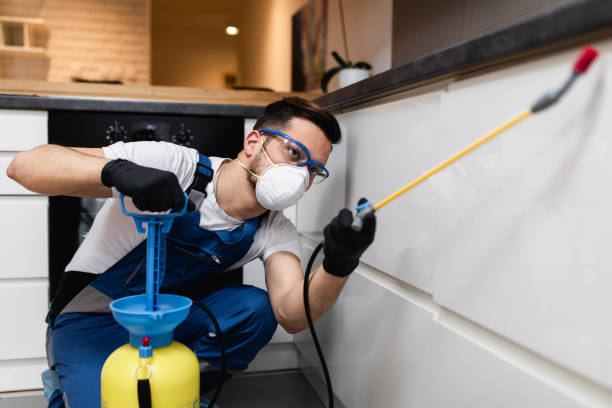 Professional Pest Control in Warsaw, MO