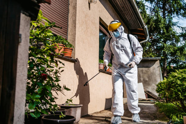 Best Exterminator Services  in Warsaw, MO