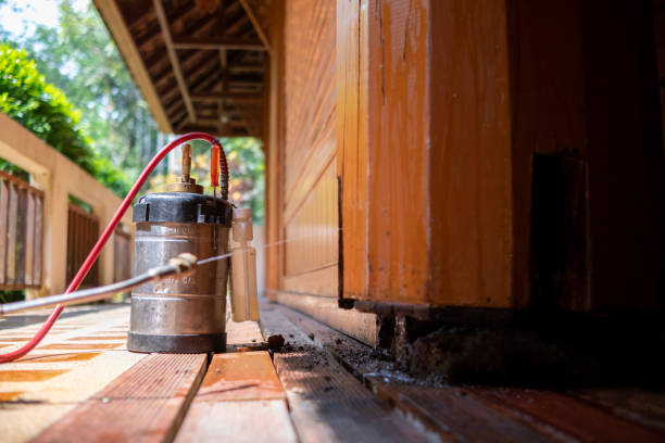 Best Termite Control Services  in Warsaw, MO