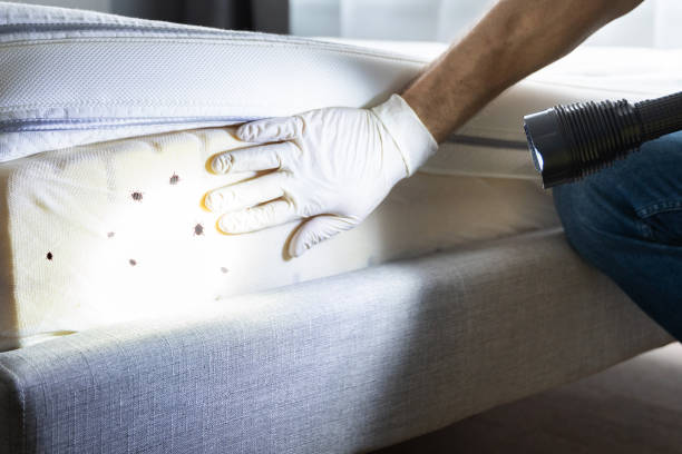 Best Pest Control Treatment  in Warsaw, MO