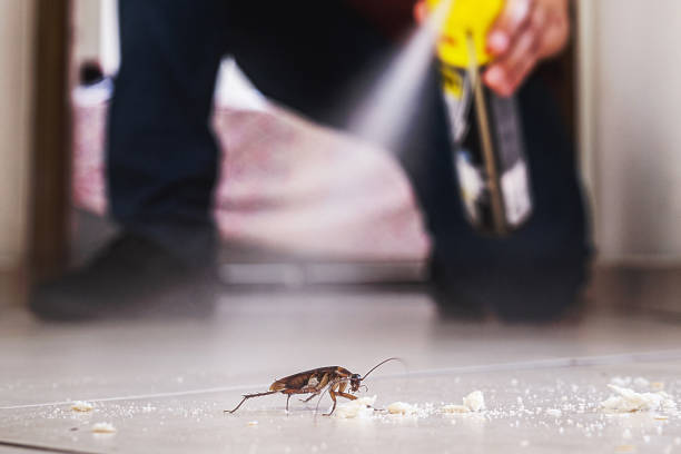 Best Pest Control for Businesses  in Warsaw, MO
