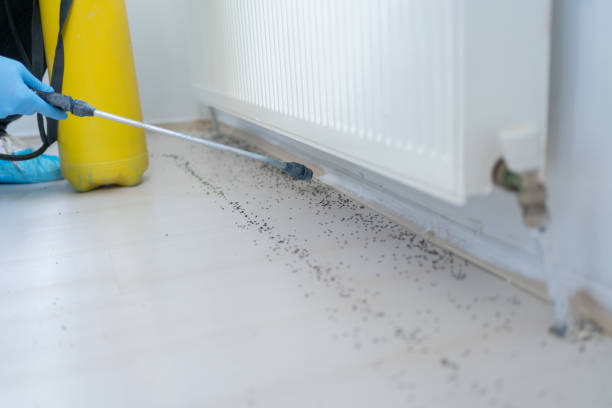 Best Cockroach Control Services  in Warsaw, MO